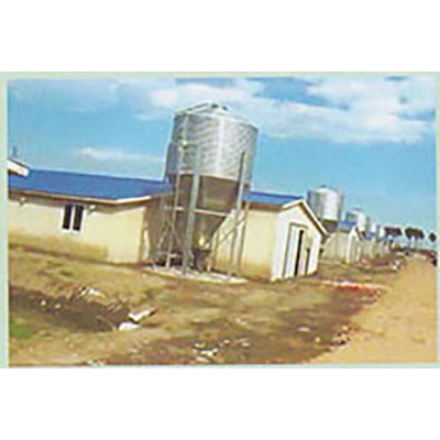 民威（民生）喂料系統(tǒng) 