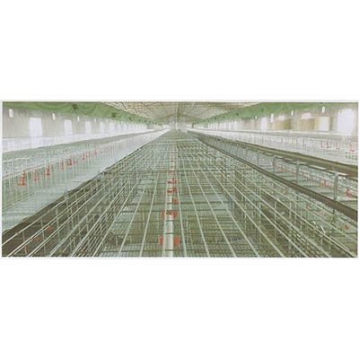 民威（民生）養(yǎng)殖籠養(yǎng)系統(tǒng)